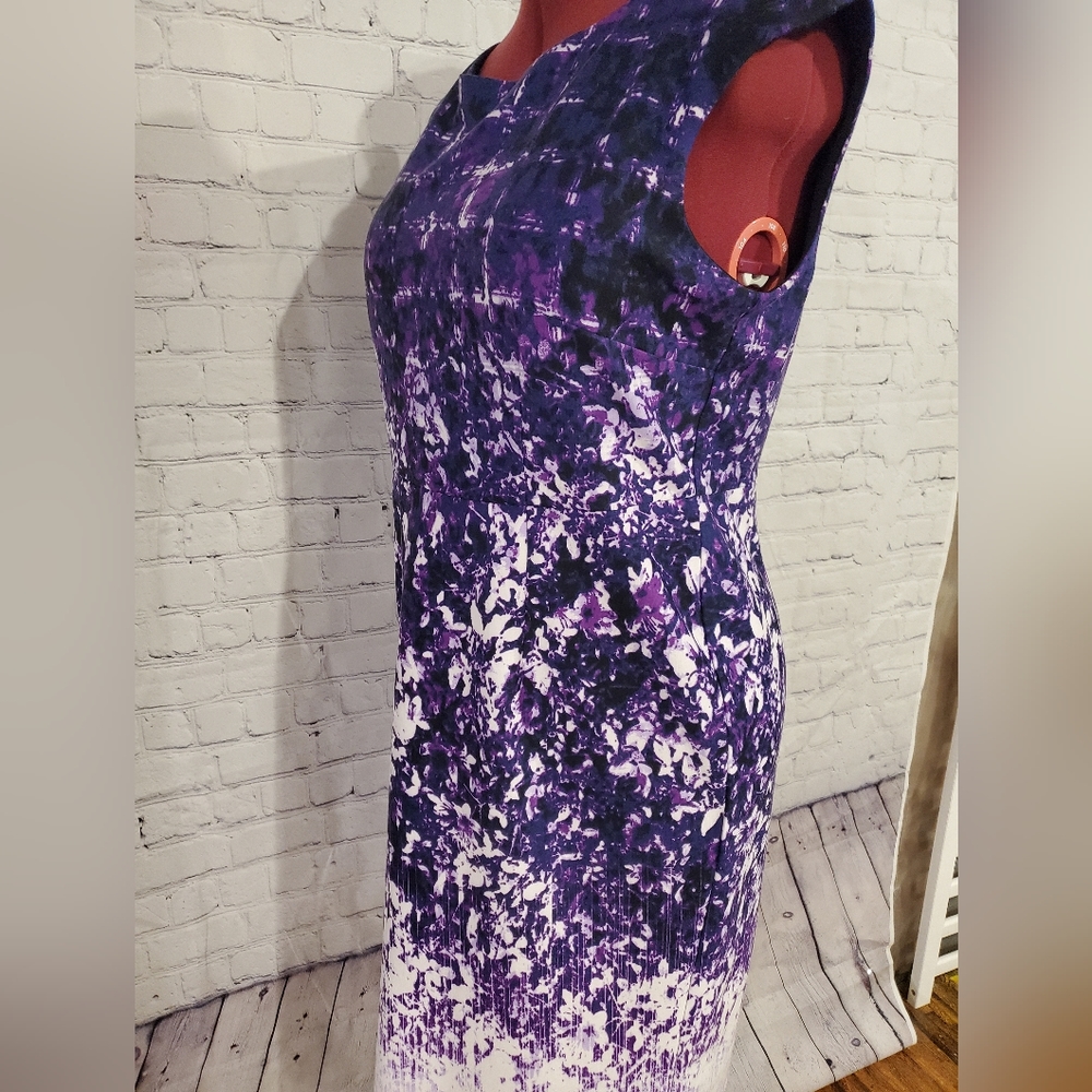 Sears Dress